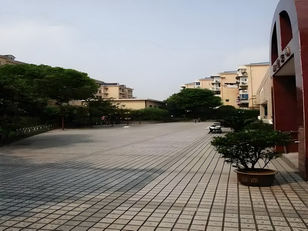 2025深圳积分入户标准_佟丽娅儿子正脸曝光，五官气质超像爸爸 你还在问题说明是存
